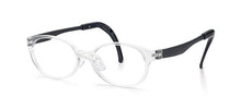 Load image into Gallery viewer, clear frame front with black arms and ear tip